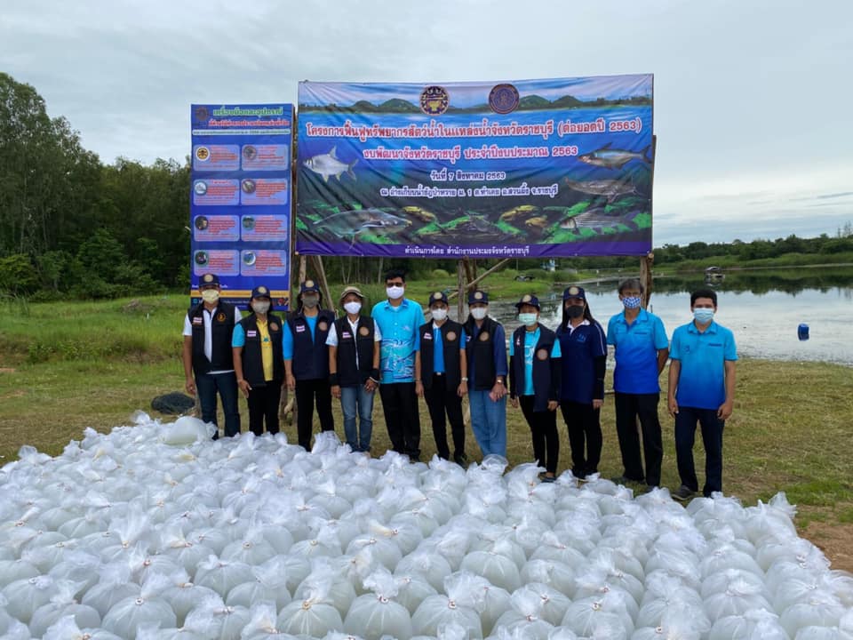 จัดกิจกรรมปล่อยพันธุ์สัตว์น้ำ ตามโครงการฟื้นฟูทรัพยากรพันธุ์ปลายี่สกไทย ในแหล่งน้ำจังหวัดราชบุรี งบพัฒนาจังหวัดราชบุรี ปีงบประมาณ 2563 (โครงการ Y2)..คลิก