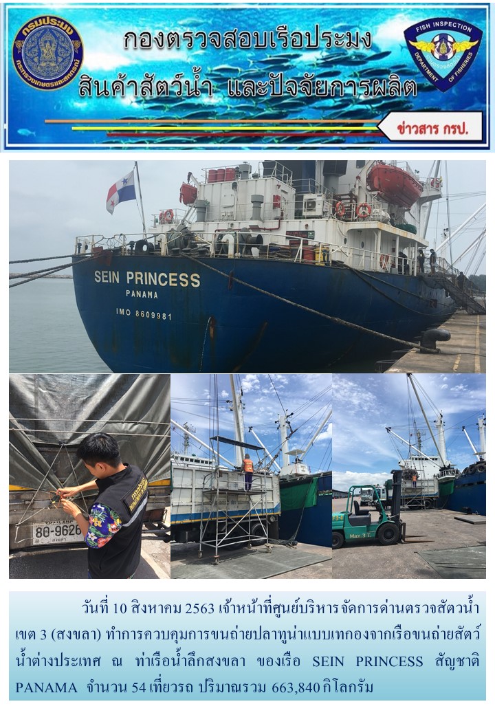 วันที่ 10 สิงหาคม 2563 เจ้าหน้าที่ศูนย์บริหารจัดการด่านตรวจสัตวน้ำ เขต 3 (สงขลา) ทำการควบคุมการขนถ่ายปลาทูน่าแบบเทกองจากเรือขนถ่ายสัตว์น้ำต่างประเทศ ณ ท่าเรือน้ำลึกสงขลา ของเรือ SEIN PRINCESS สัญชาติ PANAMA..คลิก