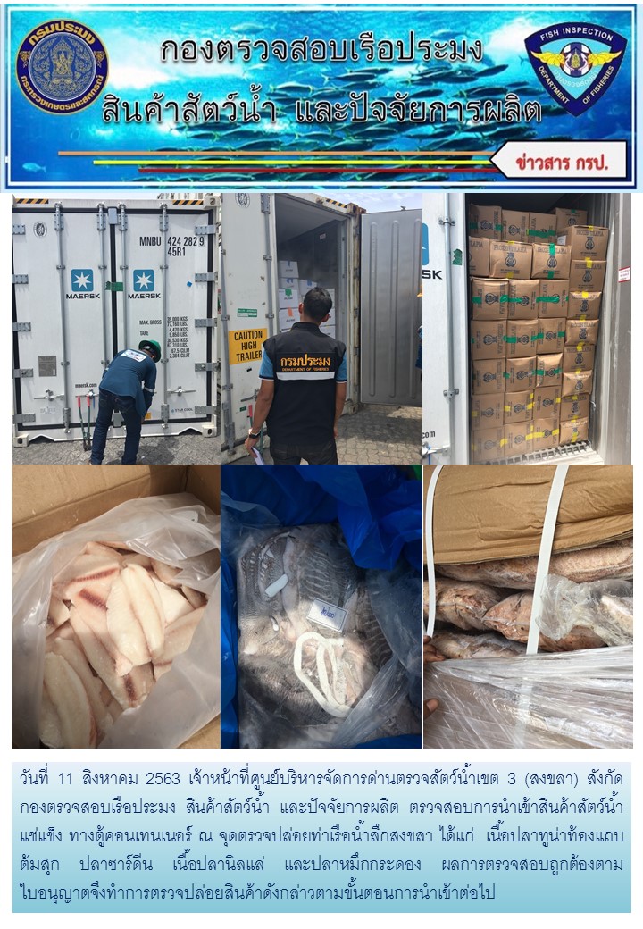 เจ้าหน้าที่ศูนย์บริหารจัดการด่านตรวจสัตว์น้ำเขต 3 (สงขลา) สังกัดกองตรวจสอบเรือประมง สินค้าสัตว์น้ำ และปัจจัยการผลิต ตรวจสอบการนำเข้าสินค้าสัตว์น้ำประเภทตู้คอนเทนเนอร์ ณ จุดตรวจปล่อยท่าเรือน้ำลึกสงขลา..คลิก