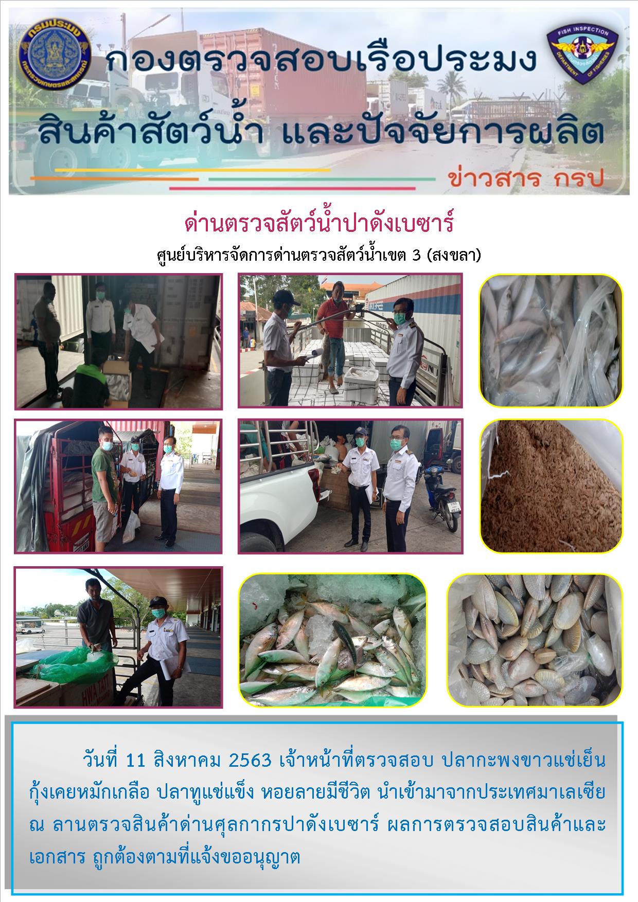 ด่านตรวจสัตว์น้ำปาดังเบซาร์ตรวจสอบสัตว์น้ำนำเข้า..คลิก