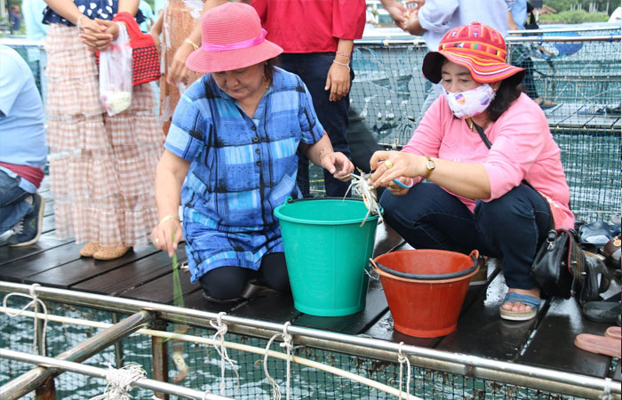 กิจกรรมปล่อยพันธุ์สัตว์น้ำเฉลิมพระเกียรติ