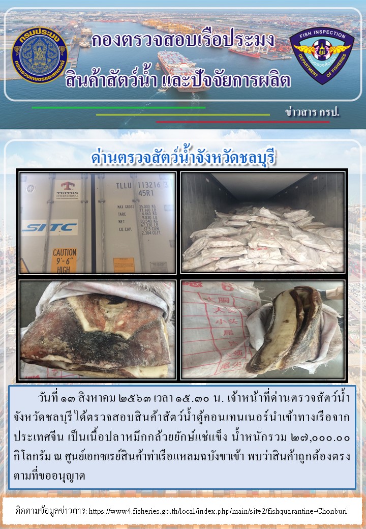 การปฏิบัติงานตรวจสอบสินค้าสัตว์น้ำตู้คอนเทรนเนอร์นำเข้าทางเรือประจำวันที่ 13 สิงหาคม 2563..คลิก
