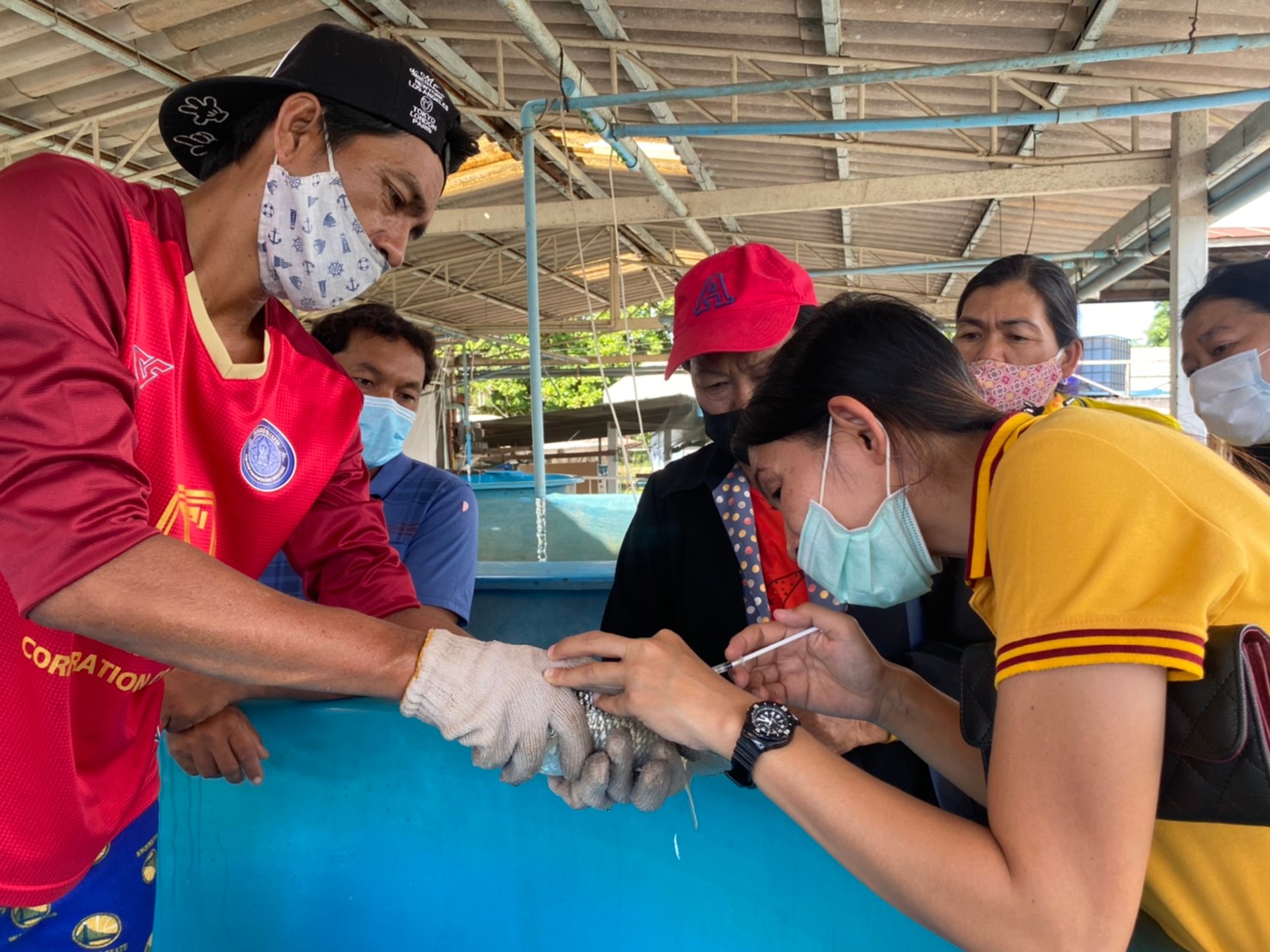 กิจกรรมโครงการส่งเสริมและสร้างทักษะในการประกอบอาชีพ  ทั้งในและนอกภาคเกษตร..คลิก