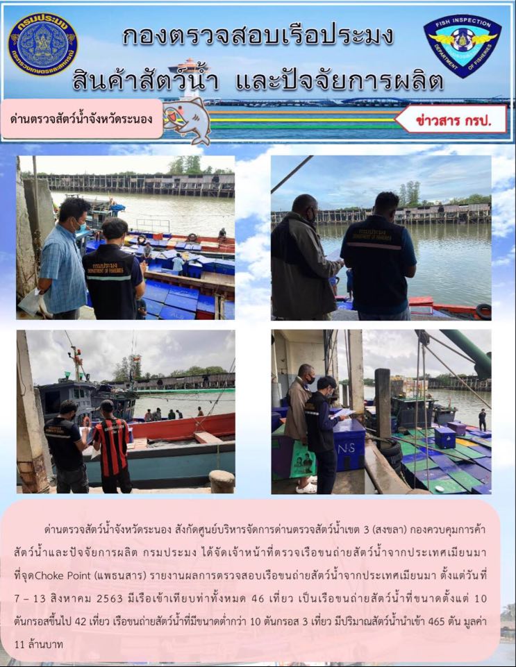 ด่านตรวจสัตว์น้ำจังหวัดระนอง รายงานผลการตรวจเรือขนถ่ายสัตว์น้ำจากประเทศเมียนมา ตั้งแต่วันที่ 7-13 สิงหาคม 2563..คลิก