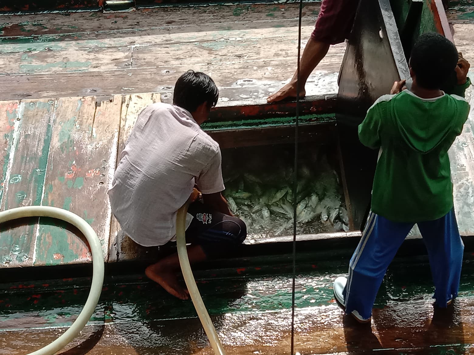 ตรวจสอบเรือและสินค้านำเข้าจากประเทศ MYANMAR..คลิก
