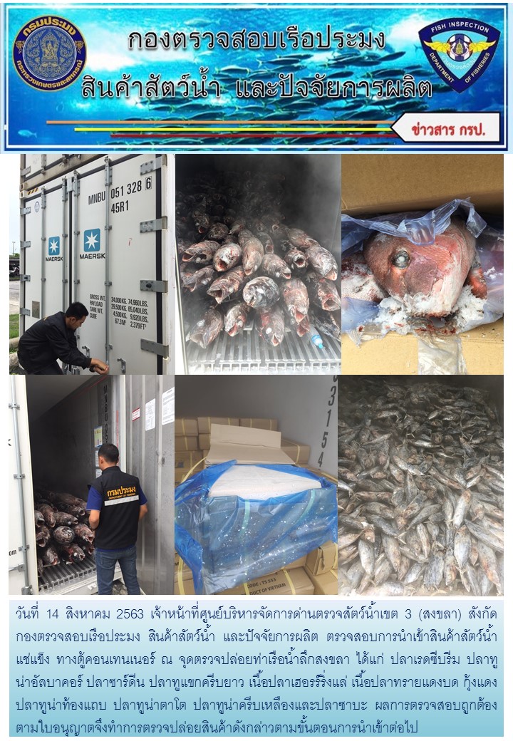 เจ้าหน้าที่ศูนย์บริหารจัดการด่านตรวจสัตว์น้ำเขต 3 (สงขลา)  สังกัดกองตรวจสอบเรือประมง สินค้าสัตว์น้ำ และปัจจัยการผลิต ตรวจสอบการนำเข้าสินค้าสัตว์น้ำประเภทตู้คอนเทนเนอร์ ณ จุดตรวจปล่อยท่าเรือน้ำลึกสงขลา..คลิก