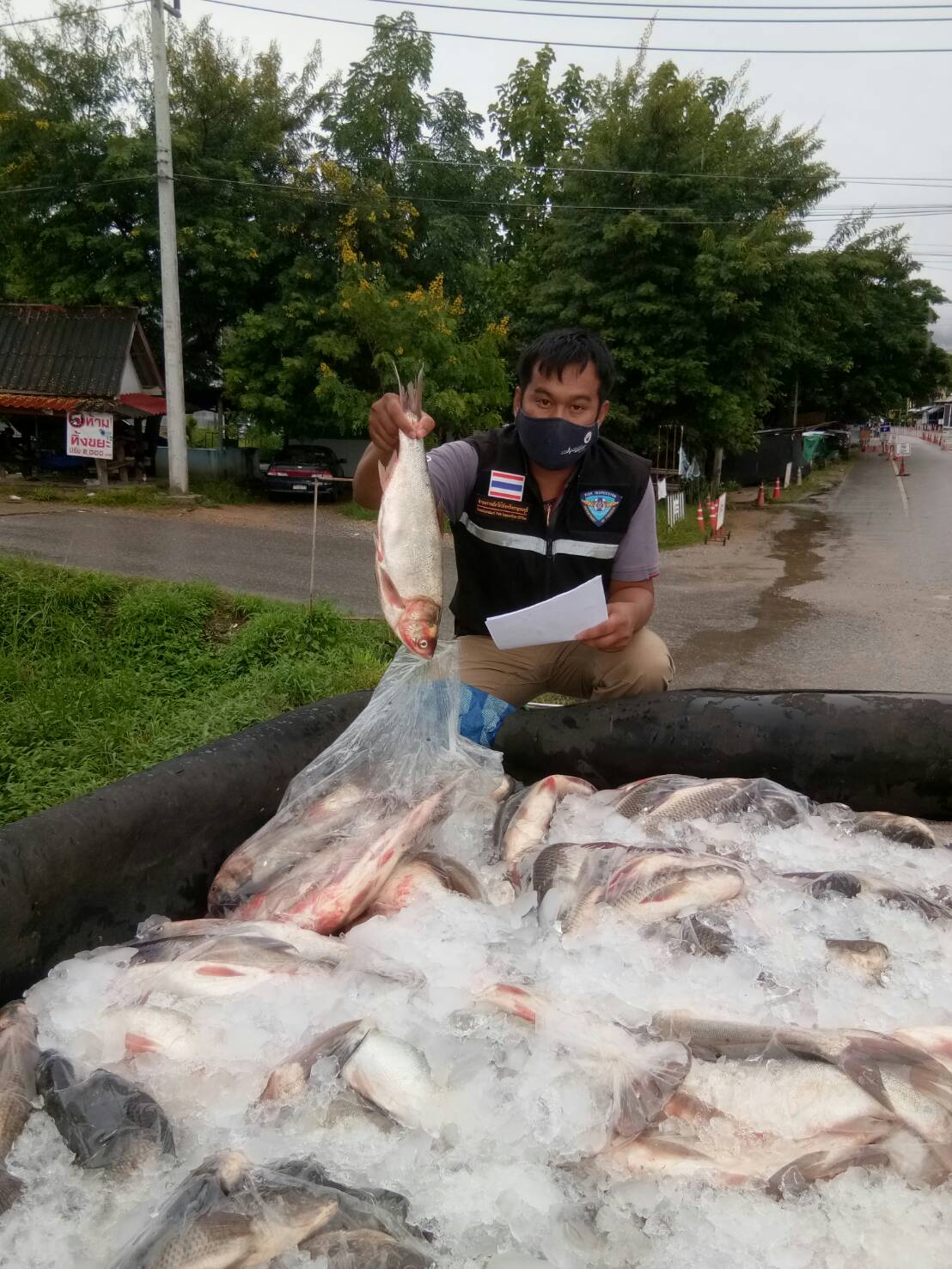 เจ้าหน้าที่ด่านตรวจสัตว์น้ำจังหวัดกาญจนบุรี ตรวจสอบสินค้าสัตว์น้ำและเอกสารการส่งออก ปลานิลแช่เย็น ปลาลิ่นแช่เย็น ปลายี่สกเทศแช่เย็น ปลาสละแช่แข็ง และสัตว์น้ำอื่นๆ ทางช่องทางจุดผ่านแดนถาวรบ้านพุน้ำร้อน..คลิก