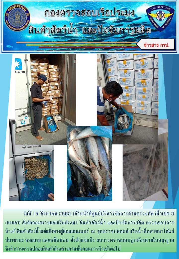 เจ้าหน้าที่ศูนย์บริหารจัดการด่านตรวจสัตว์น้ำเขต 3 (สงขลา) สังกัดกองตรวจสอบเรือประมง สินค้าสัตว์น้ำ และปัจจัยการผลิต ตรวจสอบการนำเข้าสินค้าสัตว์น้ำประเภทตู้คอนเทนเนอร์ ณ จุดตรวจปล่อยท่าเรือน้ำลึกสงขลา..คลิก
