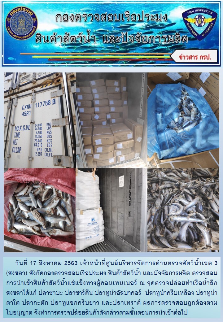 เจ้าหน้าที่ศูนย์บริหารจัดการด่านตรวจสัตว์น้ำเขต 3 (สงขลา) สังกัดกองตรวจสอบเรือประมง สินค้าสัตว์น้ำ และปัจจัยการผลิต ตรวจสอบการนำเข้าสินค้าสัตว์น้ำแช่แข็งทางตู้คอนเทนเนอร์ ณ จุดตรวจปล่อยท่าเรือน้ำลึกสงขลา..คลิก