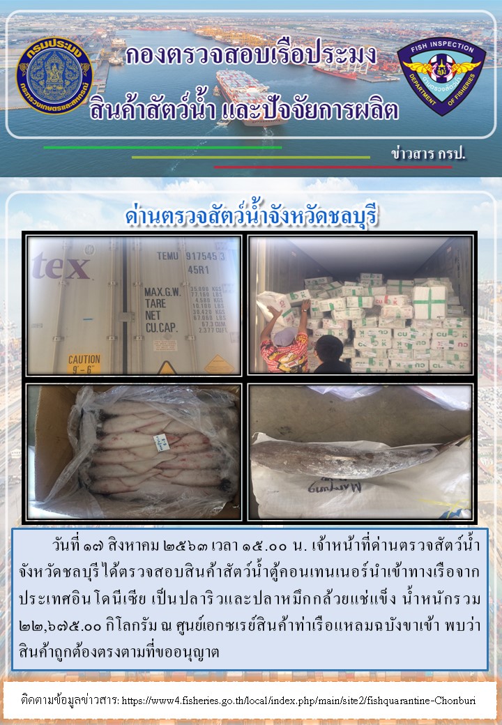 การปฏิบัติงานตรวจสอบสินค้าสัตว์น้ำตู้คอนเทรนเนอร์นำเข้าทางเรือประจำวันที่ 17 สิงหาคม 2563..คลิก
