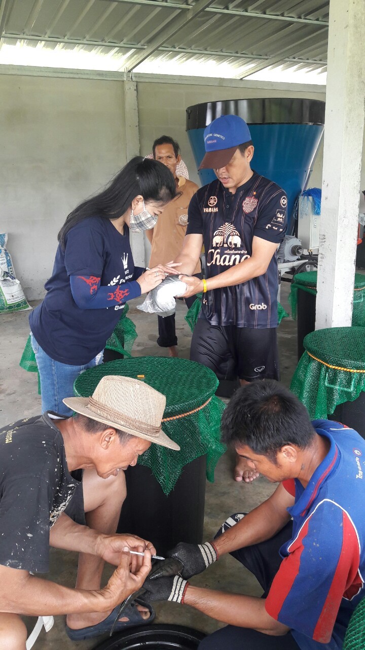 งานวิจัย..คลิก