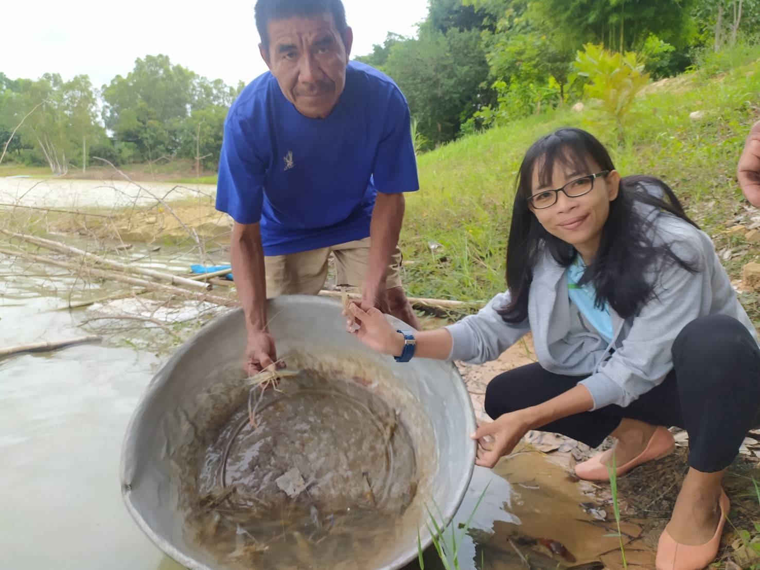 ร่วมประเมินการเจริญเติบโตของกุ้งก้ามกราม (สุ่มวัดความยาวและชั่งน้ำหนักกุ้งก้ามกรามรายเดือน)..คลิก