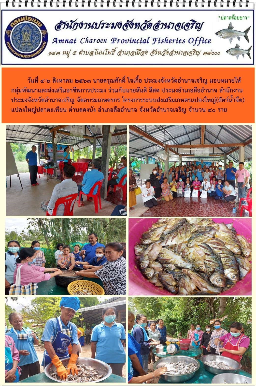 จัดอบรมเกษตรกร โครงการระบบส่งเสริมเกษตรแปลงใหญ่(สัตว์น้ำจืด) แปลงใหญ่ปลาตะเพียน ตำบลดงบัง อำเภอลืออำนาจ จังหวัดอำนาจเจริญ..คลิก