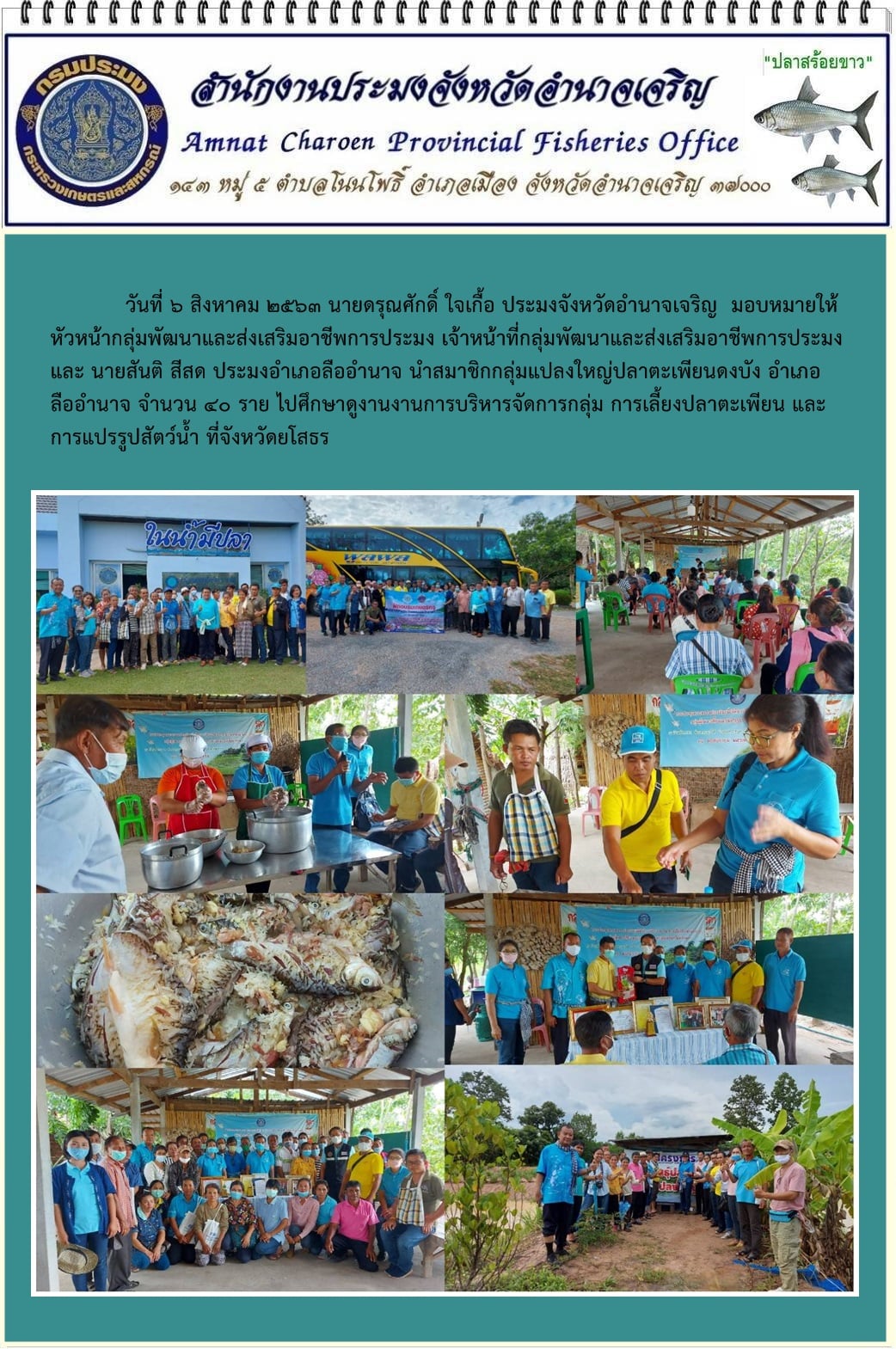 ศึกษาดูงานงานการบริหารจัดการกลุ่ม การเลี้ยงปลาตะเพียน และการแปรรูปสัตว์น้ำ ที่จังหวัดยโสธร..คลิก