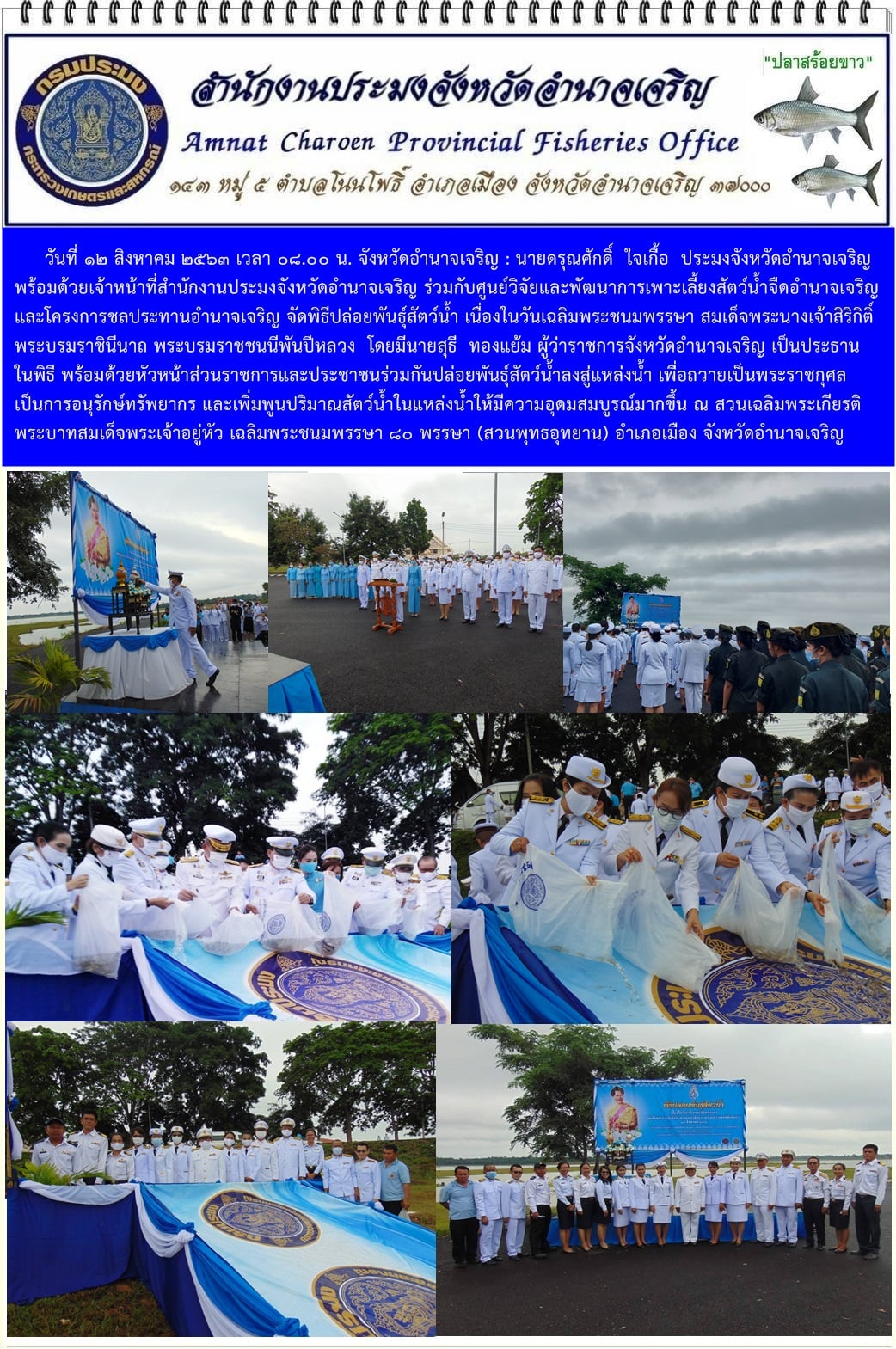 จังหวัดอำนาจเจริญจัดพิธีปล่อยพันธุ์สัตว์น้ำ เนื่องในวันเฉลิมพระชนมพรรษา สมเด็จพระนางเจ้าสิริกิติ์ พระบรมราชินีนาถ พระบรมราชชนนีพันปีหลวง ประจำปีพ.ศ.2563..คลิก