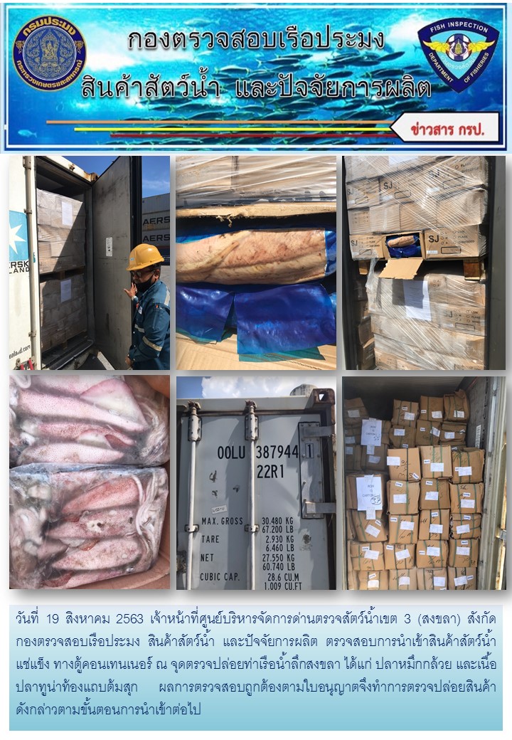 เจ้าหน้าที่ศูนย์บริหารจัดการด่านตรวจสัตว์น้ำเขต 3 (สงขลา)  สังกัดกองตรวจสอบเรือประมง สินค้าสัตว์น้ำ และปัจจัยการผลิต ตรวจสอบการนำเข้าสินค้าสัตว์น้ำประเภทตู้คอนเทนเนอร์ ณ จุดตรวจปล่อยท่าเรือน้ำลึกสงขลา..คลิก