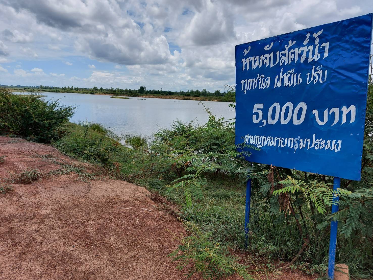 ประมงอำเภอสว่างวีระวงศ์ ร่วมกับคณะกรรมการแหล่งน้ำ ติดตามลูกพันธุ์กุ้งก้ามกรามที่นำไปปล่อยในหนองสองห้อง ตามโครงการสร้างรายได้จากอาชีพประมงในแหล่งน้ำชุมชน ในเขตพื้นที่อำเภอสว่างวีระวงศ์ จังหวัดอุบลราชธานี ..คลิก
