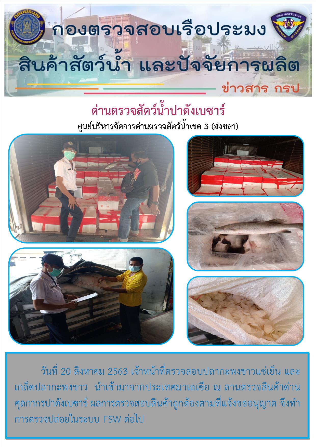 ด่านตรวจสัตว์น้ำปาดังเบซาร์ตรวจสอบสัตว์น้ำนำเข้า..คลิก