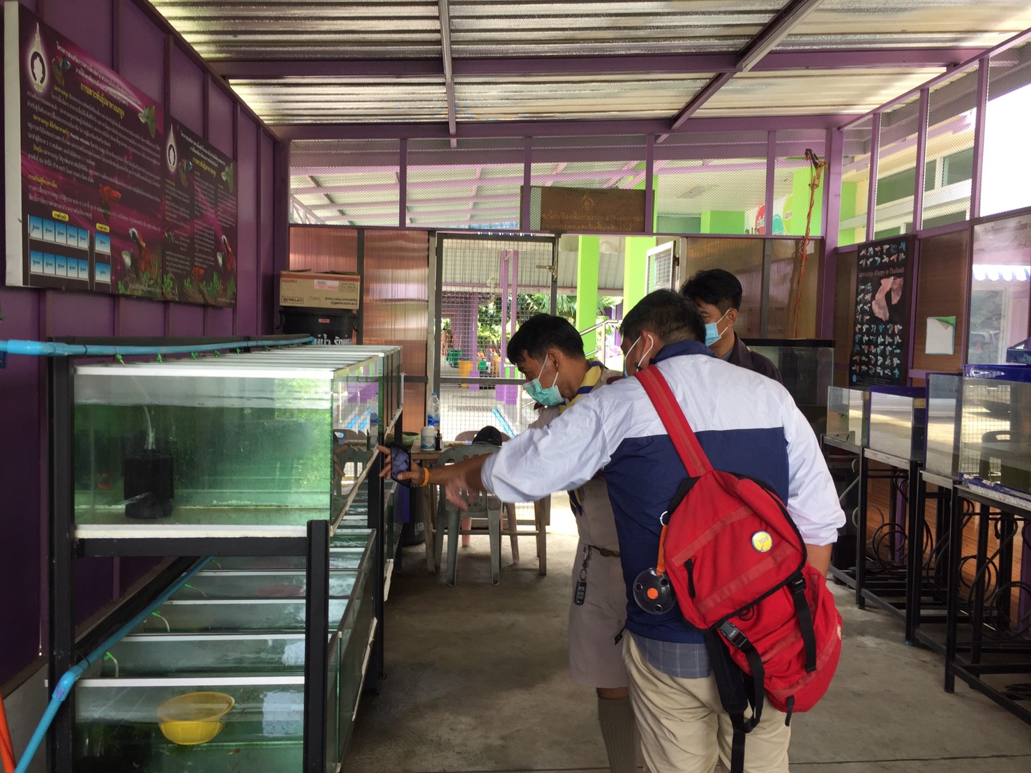สำนักงานประมงพื้นที่กรุงเทพมหานคร ลงพื้นที่ตรวจเยี่ยม ให้คำแนะนำแก่โรงเรียนที่เข้าร่วมโครงการส่งเสริมการเพาะเลี้ยงสัตว์น้ำสวยงามในโรงเรียนพื้นที่กรุงเทพมหานคร ประจำปี 2563..คลิก