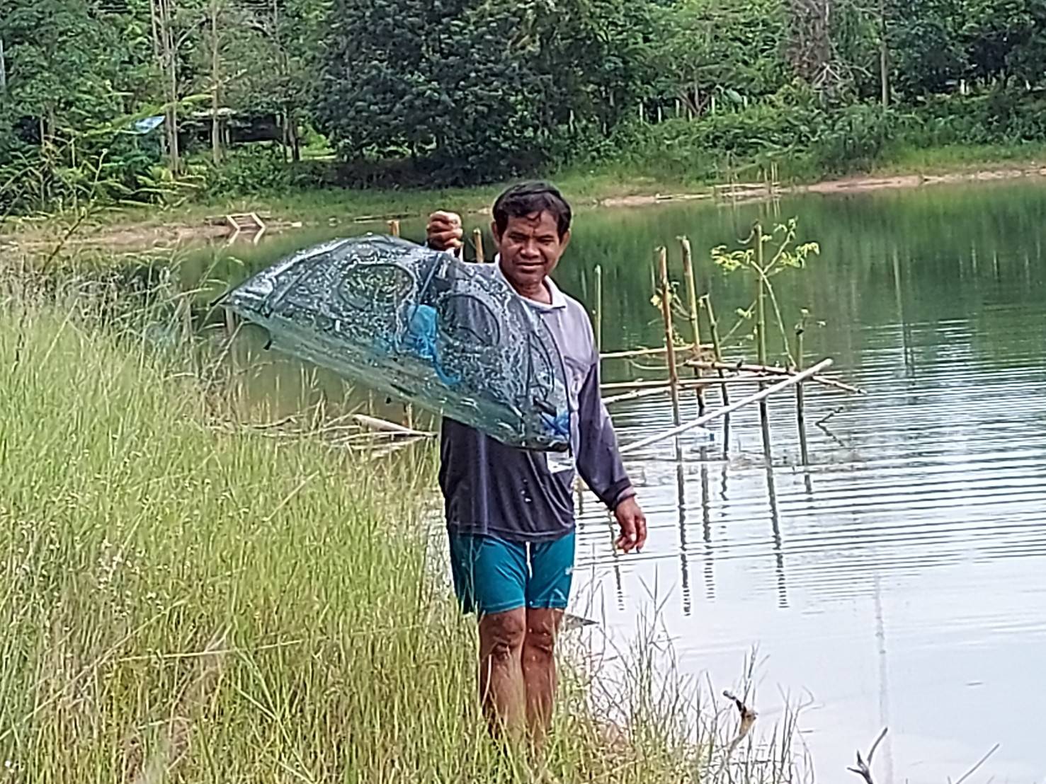 การติดตามการเจริญเติบโตของกุ้งก้ามกราม หนองประเมินของอำเภอน้ำยืน รอบเดือน สิงหาคม 2563..คลิก