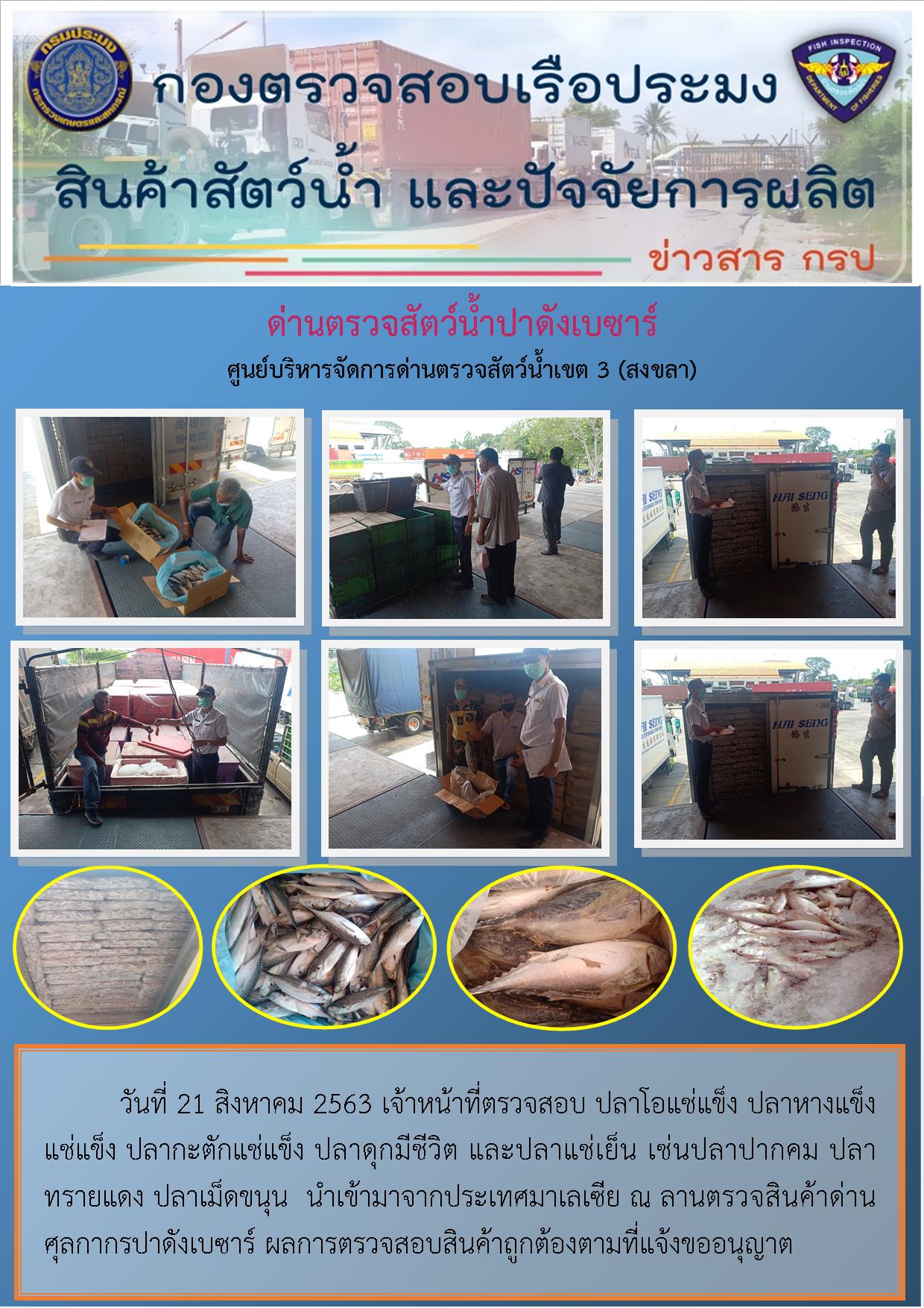ด่านตรวจสัตว์น้ำปาดังเบซาร์ตรวจสอบสัตว์น้ำนำเข้า..คลิก