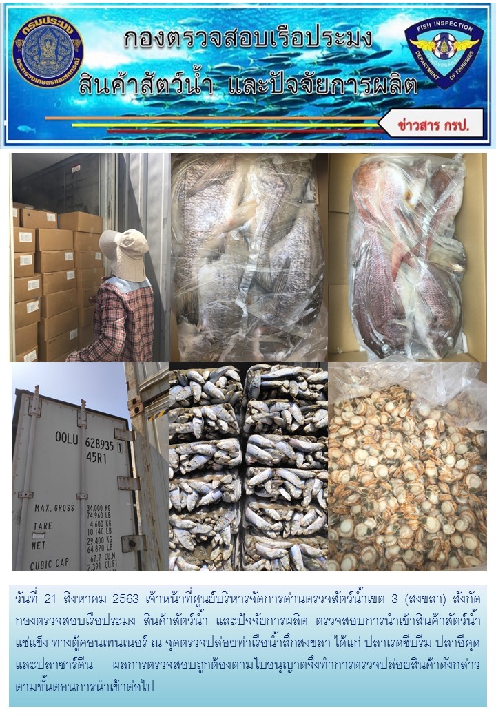 เจ้าหน้าที่ศูนย์บริหารจัดการด่านตรวจสัตว์น้ำเขต 3 (สงขลา) สังกัดกองตรวจสอบเรือประมง สินค้าสัตว์น้ำ และปัจจัยการผลิต  ตรวจสอบการนำเข้าสินค้าสัตว์น้ำประเภทตู้คอนเทนเนอร์ ณ จุดตรวจปล่อยท่าเรือน้ำลึกสงขลา..คลิก