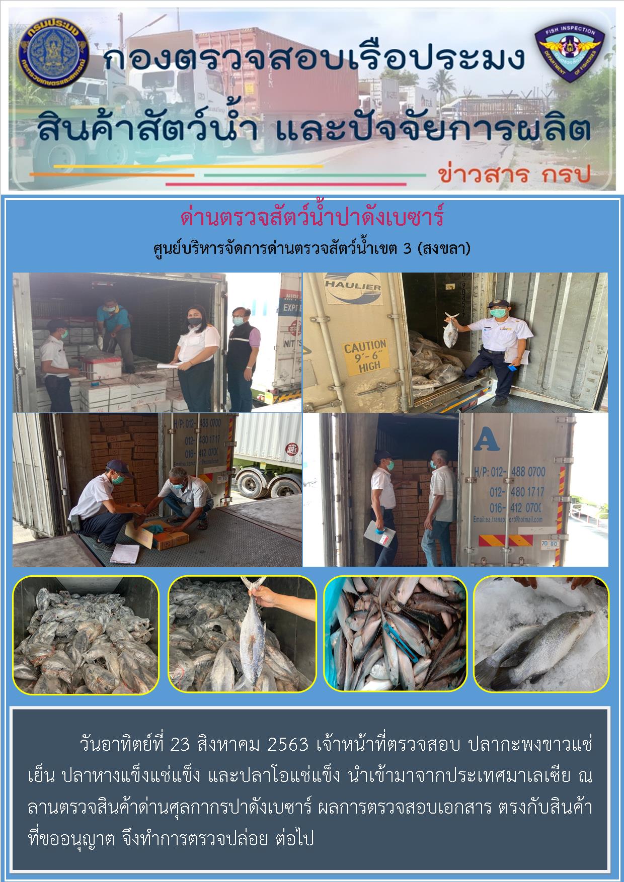 ด่านตรวจสัตว์น้ำปาดังเบซาร์ตรวจสอบสัตว์น้ำนำเข้า..คลิก