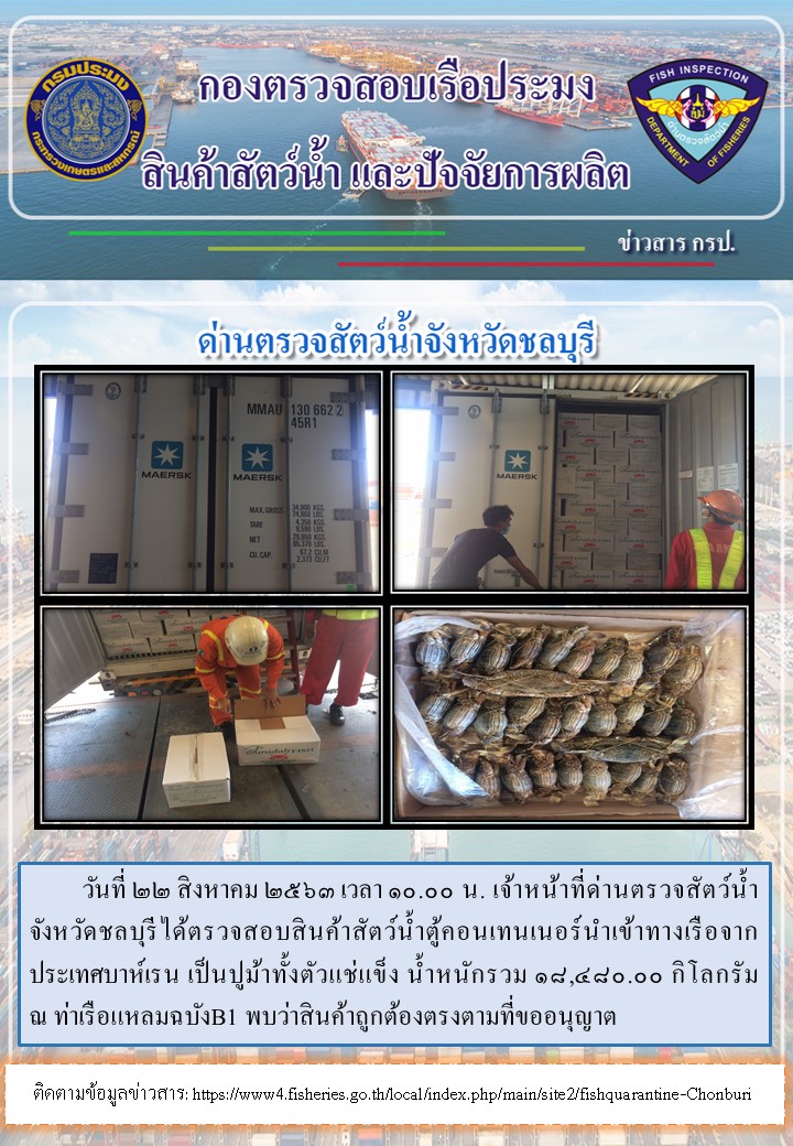 การปฏิบัติงานตรวจสอบสินค้าสัตว์น้ำตู้คอนเทรนเนอร์นำเข้าทางเรือประจำวันที่ 22 สิงหาคม 2563..คลิก