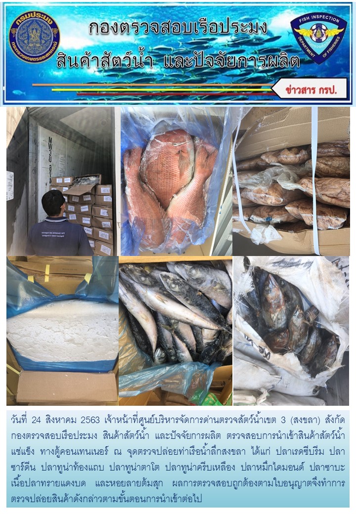 เจ้าหน้าที่ศูนย์บริหารจัดการด่านตรวจสัตว์น้ำเขต 3 (สงขลา) สังกัดกองตรวจสอบเรือประมง สินค้าสัตว์น้ำ และปัจจัยการผลิต  ตรวจสอบการนำเข้าสินค้าสัตว์น้ำประเภทตู้คอนเทนเนอร์ ณ จุดตรวจปล่อยท่าเรือน้ำลึกสงขลา..คลิก