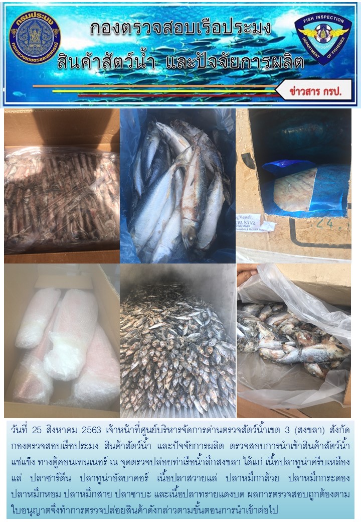 เจ้าหน้าที่ศูนย์บริหารจัดการด่านตรวจสัตว์น้ำเขต 3 (สงขลา) สังกัดกองตรวจสอบเรือประมง สินค้าสัตว์น้ำ และปัจจัยการผลิต ตรวจสอบการนำเข้าสินค้าสัตว์น้ำประเภทตู้คอนเทนเนอร์ ณ จุดตรวจปล่อยท่าเรือน้ำลึกสงขลา..คลิก
