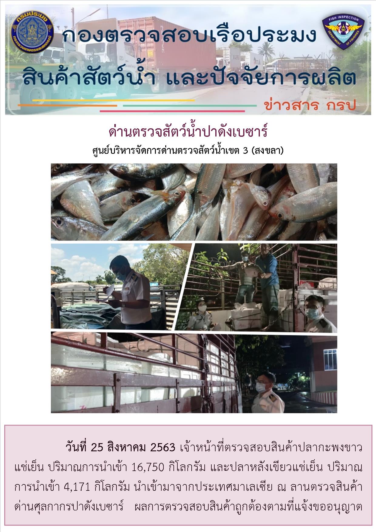 วันที่ 25 สิงหาคม 2563 เ้าหน้าที่ตรวจสอบสินค้าปลากะพงขาว แช่เย็น ปริมาณการนำเข้า 16,750 กิโลกรัม แจละปลาหลังเขียวแช่เย็น ปริมาณการนำเข้า 4,171 กิโลกรัม นำเข้ามาจากประเทศมาเลเซีย ณ ลานตรวจสินค้าด่านศุลกากรปาดังเบซาร์   ผลการตรวจสอบสินค้าถูกต้องตามที่แจ้งขออนุญาต..คลิก