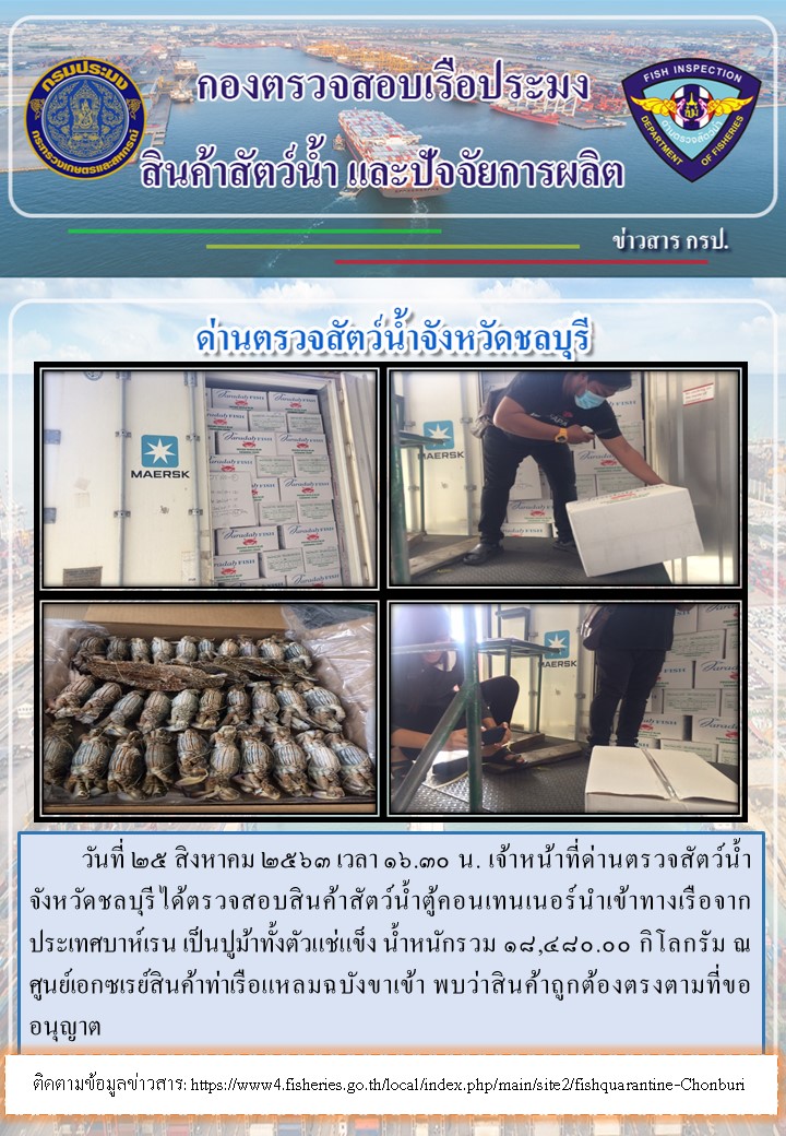 การปฏิบัติงานตรวจสอบสินค้าสัตว์น้ำตู้คอนเทรนเนอร์นำเข้าทางเรือประจำวันที่ 25 สิงหาคม 2563..คลิก