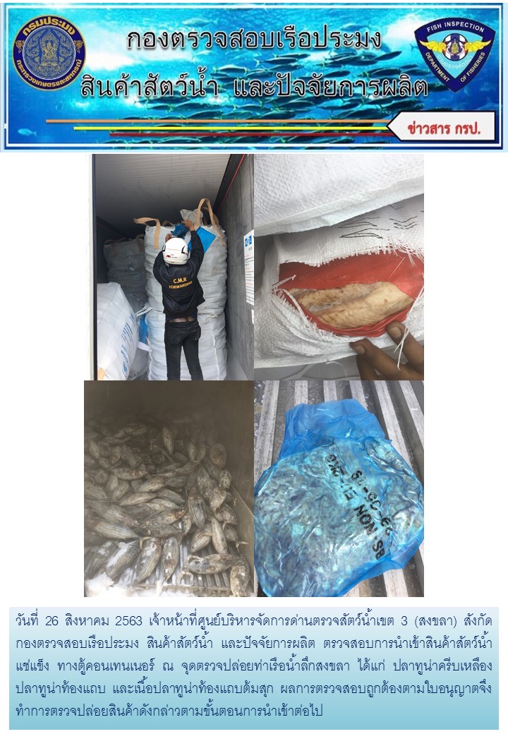 เจ้าหน้าที่ศูนย์บริหารจัดการด่านตรวจสัตว์น้ำเขต 3 (สงขลา) สังกัดกองตรวจสอบเรือประมง สินค้าสัตว์น้ำ และปัจจัยการผลิตตรวจสอบการนำเข้าสินค้าสัตว์น้ำประเภทตู้คอนเทนเนอร์ ณ จุดตรวจปล่อยท่าเรือน้ำลึกสงขลา..คลิก