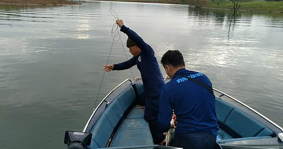 ควบคุมการเฝ้าระวังการทำการประมงพื้นที่แหล่งน้ำจืด ในช่วงฤดูสัตว์น้ำจืดมีไข่ฯ ตรวจยึดข่ายลอย จำนวน ๓ ผืน เบ็ดราว ๒ สาย ปลาเบญจพรรณ (สภาพเน่าเสีย) จำนวน ๑ กิโลกรัม..คลิก