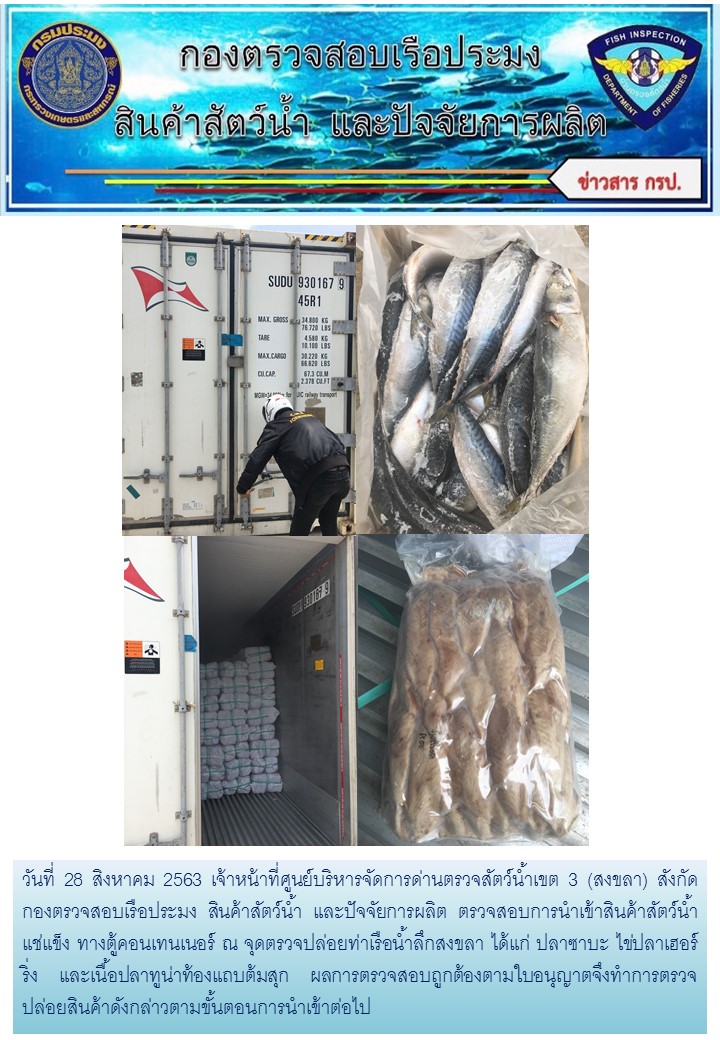 เจ้าหน้าที่ศูนย์บริหารจัดการด่านตรวจสัตว์น้ำเขต 3 (สงขลา) สังกัดกองควบคุมการค้าสัตว์น้ำและปัจจัยการผลิต ตรวจสอบการนำเข้าสินค้าสัตว์น้ำประเภทตู้คอนเทนเนอร์ ณ จุดตรวจปล่อยท่าเรือน้ำลึกสงขลา..คลิก