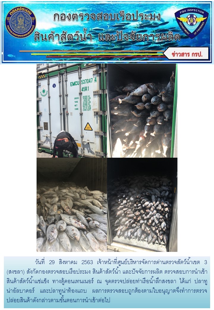 เจ้าหน้าที่ศูนย์บริหารจัดการด่านตรวจสัตว์น้ำเขต 3 (สงขลา)  สังกัดกองตรวจสอบเรือประมง สินค้าสัตว์น้ำ และปัจจัยการผลิต ตรวจสอบการนำเข้าสินค้าสัตว์น้ำประเภทตู้คอนเทนเนอร์ ณ จุดตรวจปล่อยท่าเรือน้ำลึกสงขลา..คลิก
