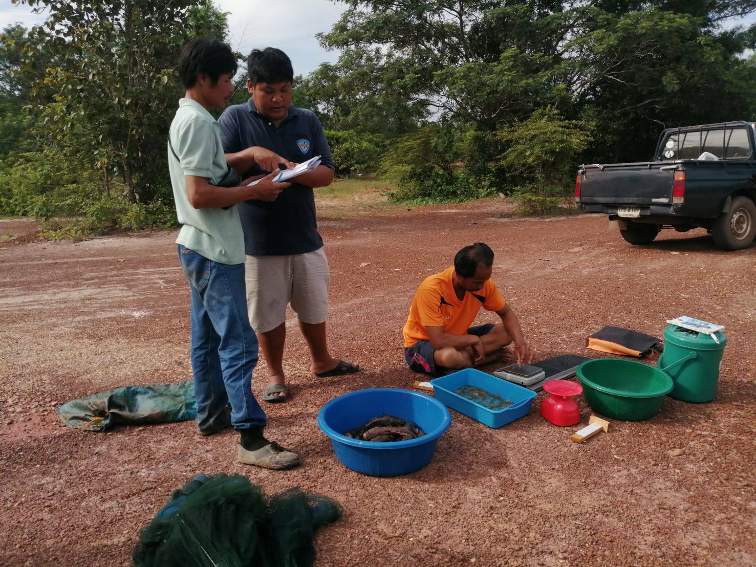 ร่วมประเมินการเจริญเติบโตของกุ้งก้ามกราม (สุ่มวัดความยาวและชั่งน้ำหนักกุ้งก้ามกรามรายเดือน)..คลิก