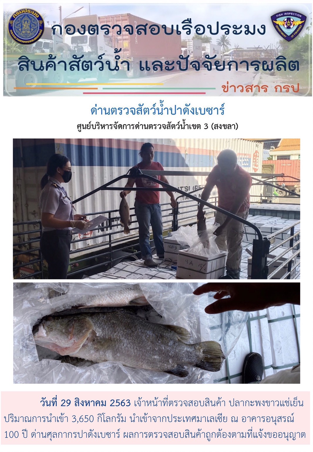 จนท.ตรวจสอบปลากะพงนำเข้าจากมาเลเซีย ปริมาณ 3,650 กิโลกรัม..คลิก