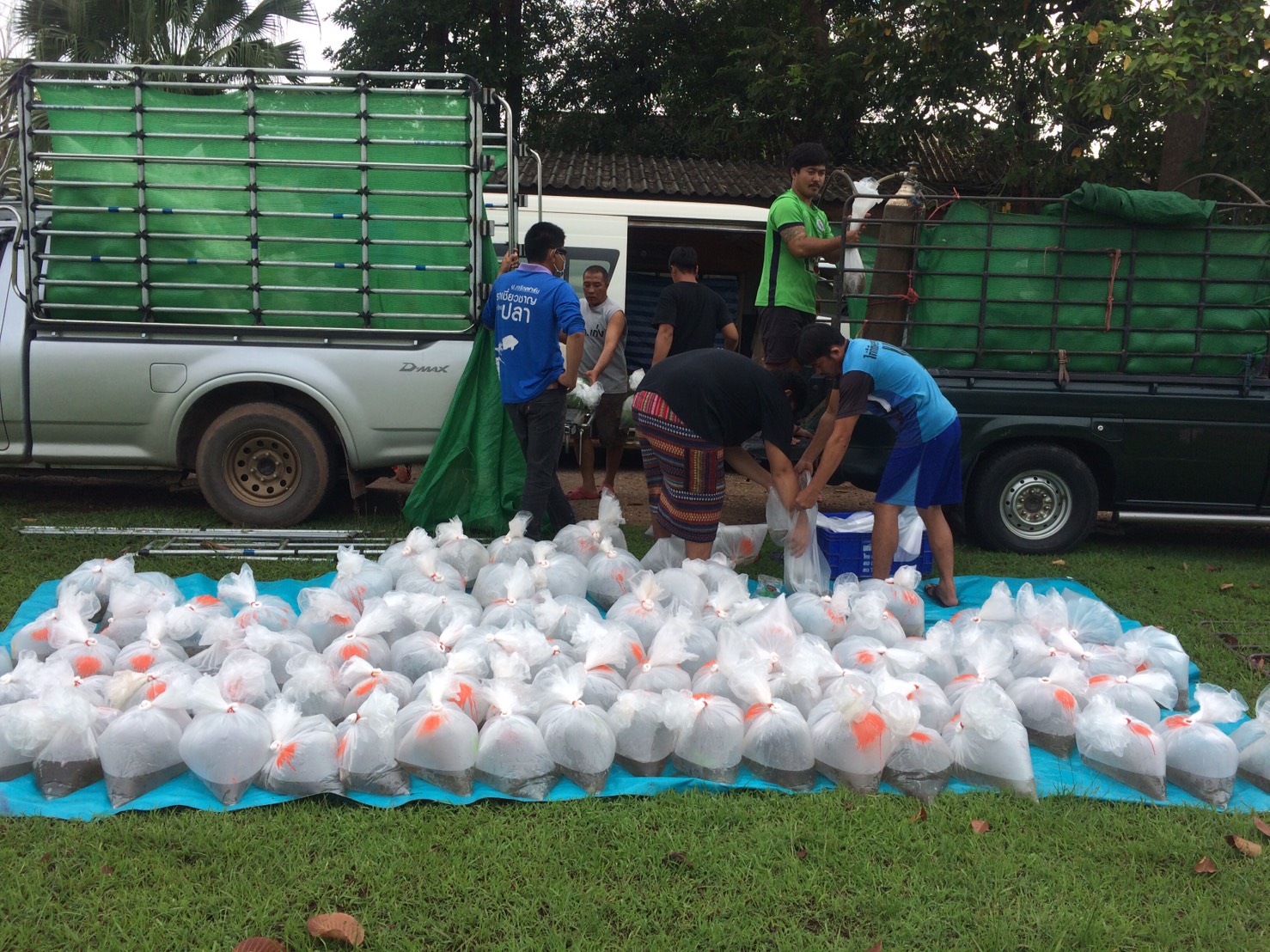 ตรวจสอบลูกพันธุ์สัตว์น้ำ ส่งออกไปยัง สปป.ลาว..คลิก