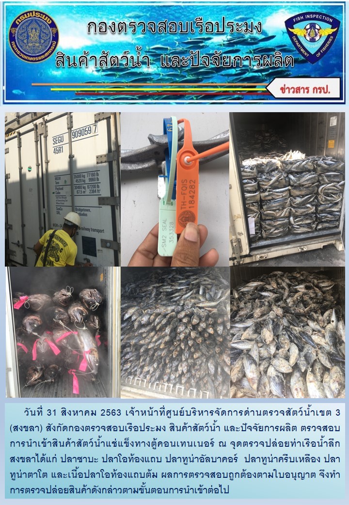 เจ้าหน้าที่ศูนย์บริหารจัดการด่านตรวจสัตว์น้ำเขต 3 (สงขลา) สังกัดกองตรวจสอบเรือประมง สินค้าสัตว์น้ำ และปัจจัยการผลิต ตรวจสอบการนำเข้าสินค้าสัตว์น้ำแช่แข็งทางตู้คอนเทนเนอร์ ณ จุดตรวจปล่อยท่าเรือน้ำลึกสงขลา..คลิก