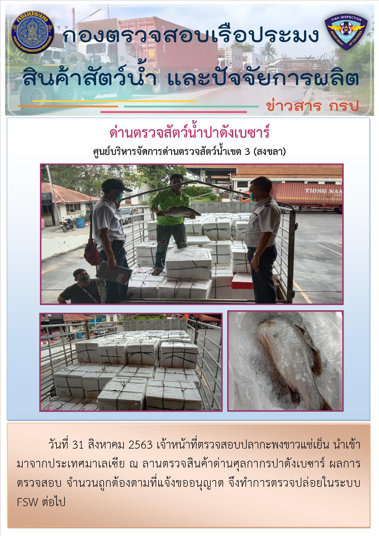 ด่านตรวจสัตว์น้ำปาดังเบซาร์ตรวจสอบสัตว์น้ำนำเข้า..คลิก