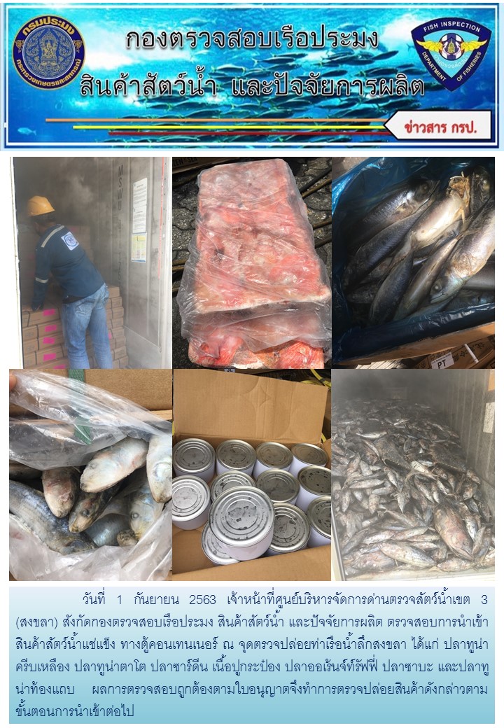 เจ้าหน้าที่ศูนย์บริหารจัดการด่านตรวจสัตว์น้ำเขต 3 (สงขลา) สังกัดกองตรวจสอบเรือประมง สินค้าสัตว์น้ำ และปัจจัยการผลิต ตรวจสอบการนำเข้าสินค้าสัตว์น้ำประเภทตู้คอนเทนเนอร์ ณ จุดตรวจปล่อยท่าเรือน้ำลึกสงขลา..คลิก
