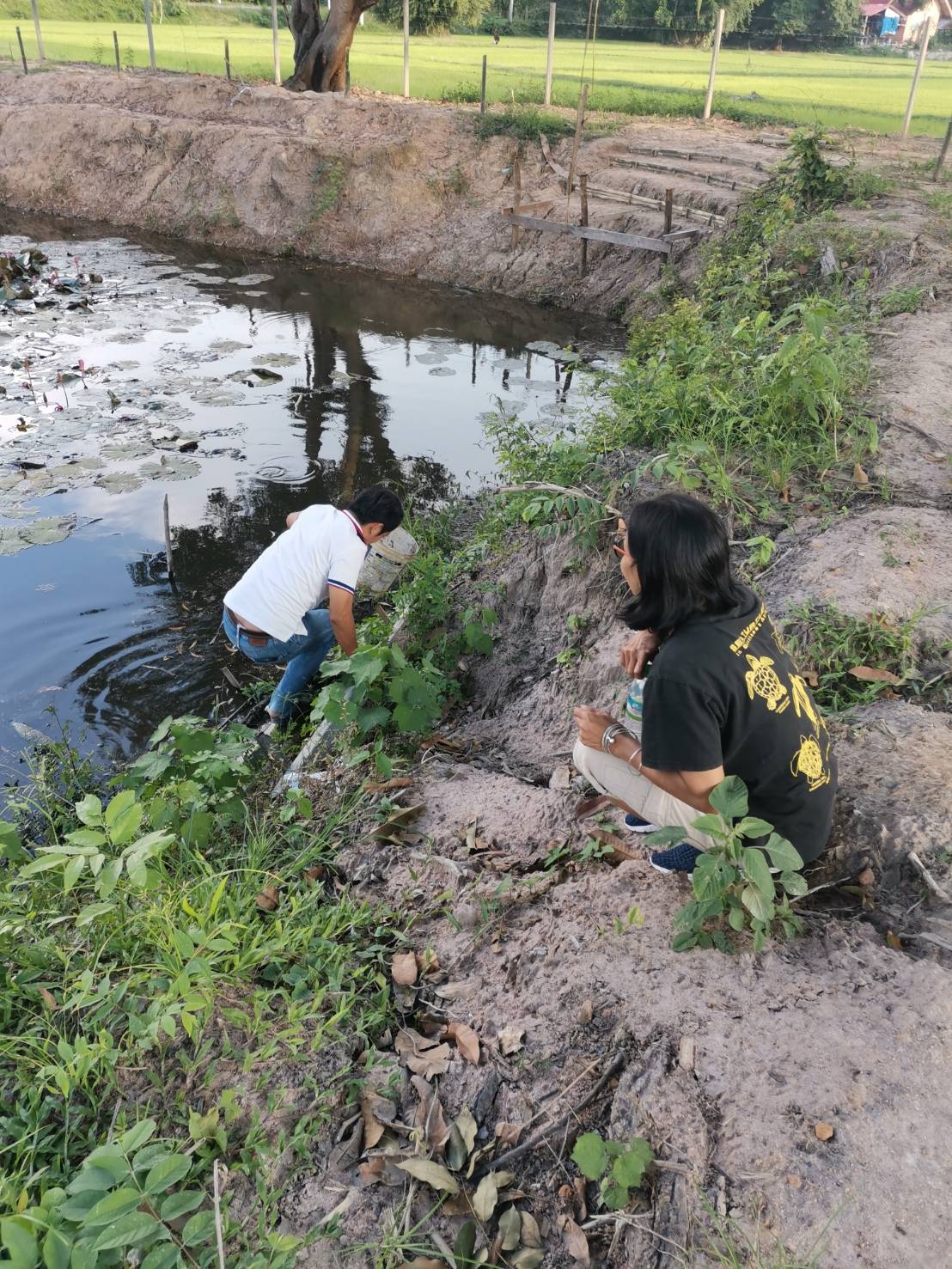 ตรวจโรงเรียนบ้านหนองกันเกราหลังได้รับแจ้งว่าบ่อเลี้ยงปลา (บ่อดินของโรงเรียน) น้ำเริ่มมีกลิ่นและมีฝ้าลอยบนผิวน้ำ..คลิก