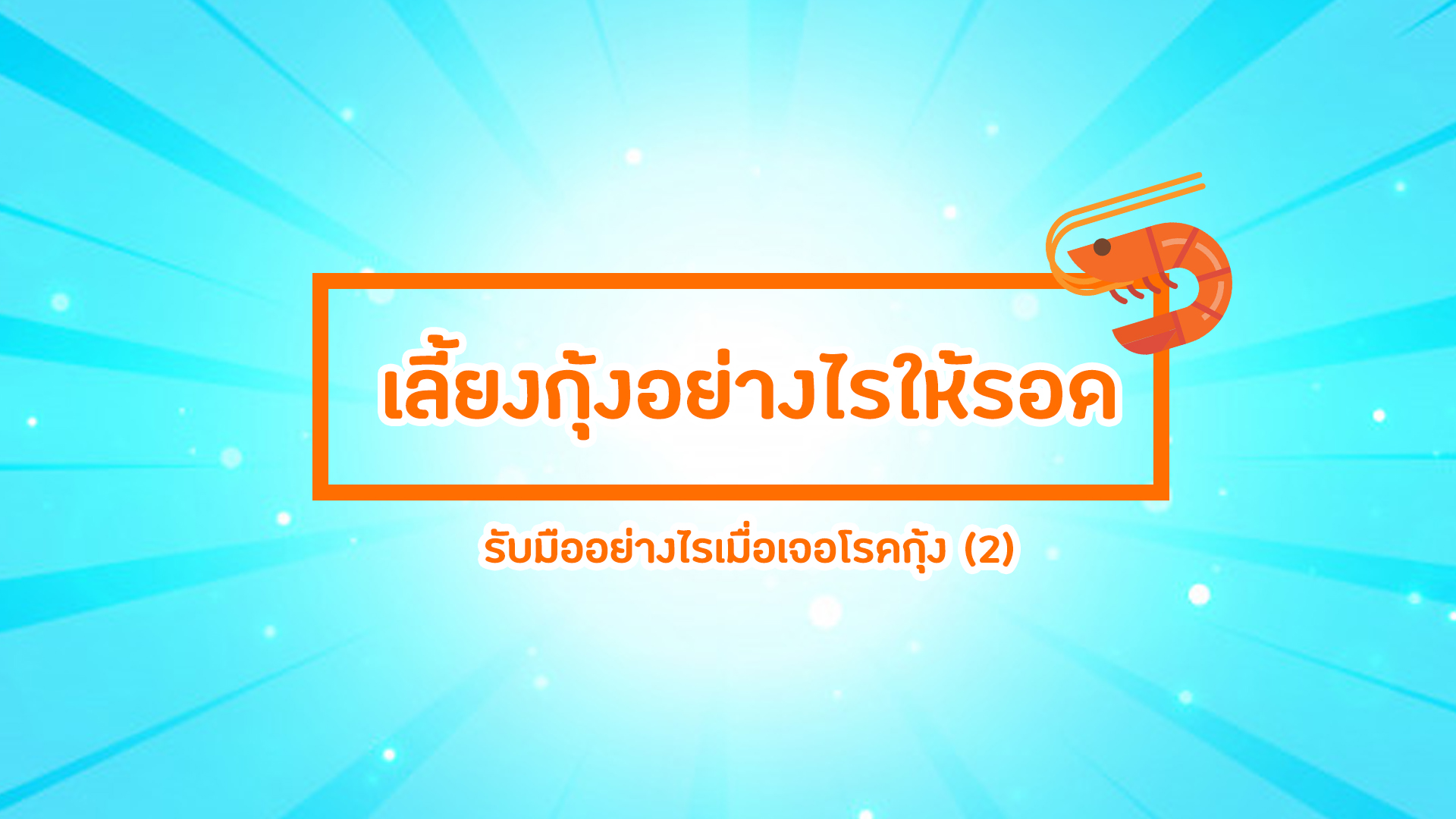 เลี้ยงกุ้งอย่างไรให้รอด Ep. 6 รับมืออย่างไรเมื่อเจอโรคกุ้ง? (2)