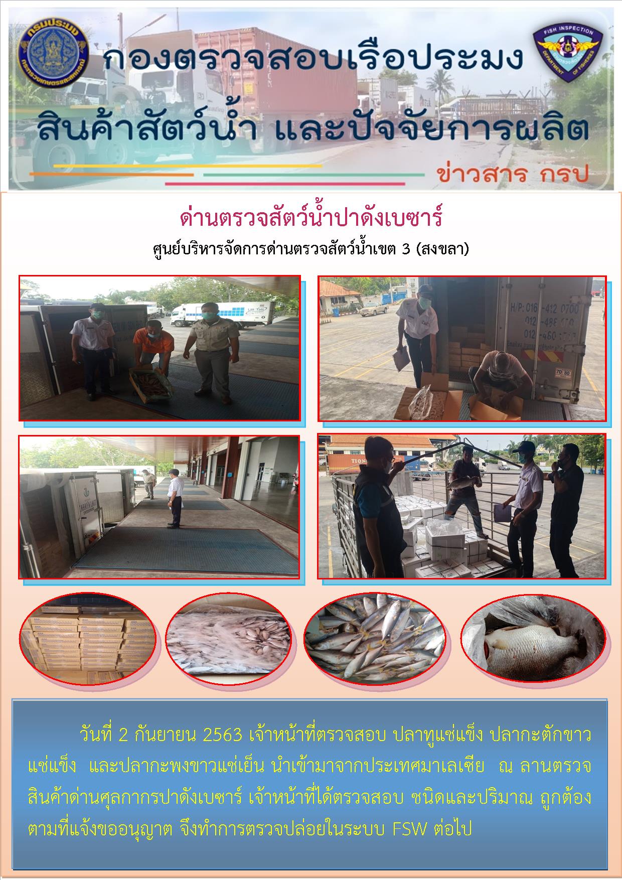 ด่านตรวจสัตว์น้ำปาดังเบซาร์ตรวจสอบสัตว์น้ำนำเข้า..คลิก