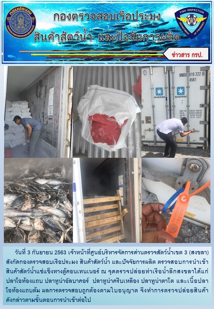 เจ้าหน้าที่ศูนย์บริหารจัดการด่านตรวจสัตว์น้ำเขต 3 (สงขลา) สังกัดกองตรวจสอบเรือประมง สินค้าสัตว์น้ำ และปัจจัยการผลิต ตรวจสอบการนำเข้าสินค้าสัตว์น้ำแช่แข็งทางตู้คอนเทนเนอร์ ณ จุดตรวจปล่อยท่าเรือน้ำลึกสงขลา..คลิก