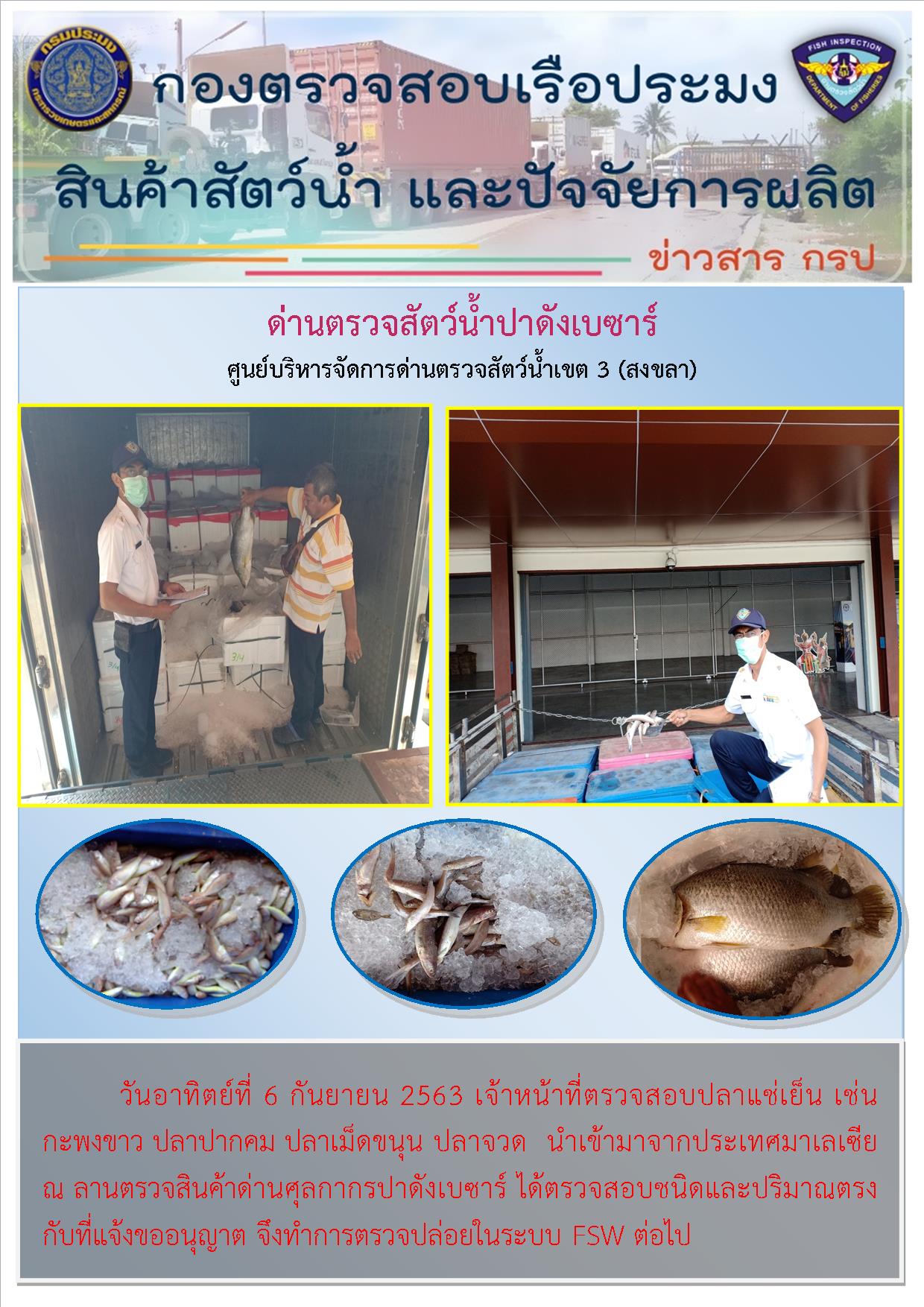 ด่านตรวจสัตว์น้ำปาดังเบซาร์ตรวจสอบสัตว์น้ำนำเข้า..คลิก