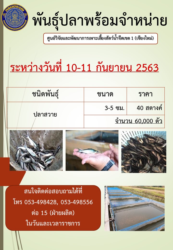 พันธุ์ปลาพร้อมจำหน่าย วันที่ 10-11 กันยายน 2563..คลิก