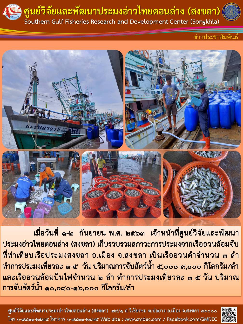 เมื่อวันที่ 1-2 กันยายน พ.ศ. 2563 เจ้าหน้าที่ศูนย์วิจัยและพัฒนาประมงอ่าวไทยตอนล่าง (สงขลา)  เก็บรวบรวมสภาวะการประมงจากเรืออวนล้อมจับ ที่ท่าเทียบเรือประมงสงขลา อ.เมือง จ.สงขลา  เป็นเรืออวนดำจำนวน 3 ลำ..คลิก