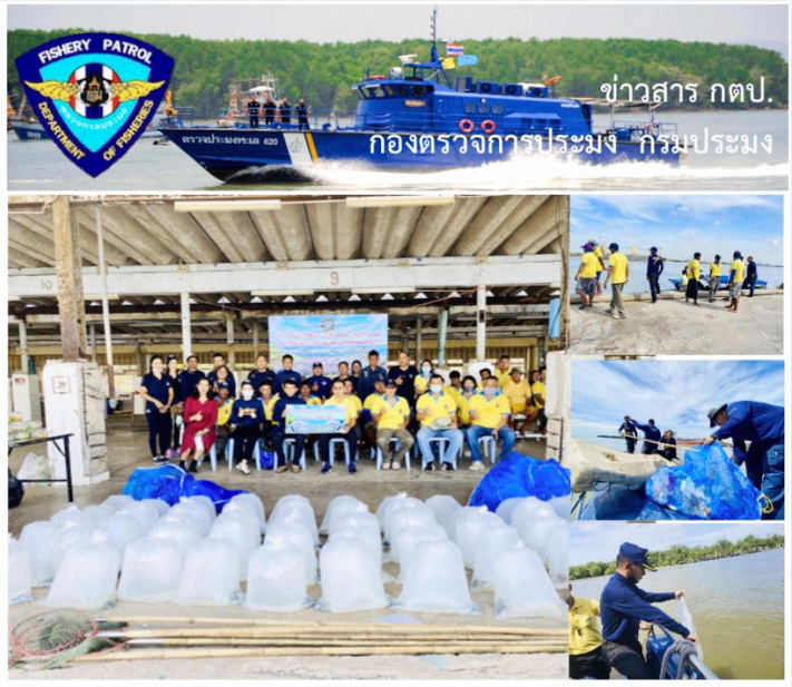 นปท.สมุทรปราการ ร่วมกับ สำนักงานประมงจังหวัดสมุทรปราการ และชุมชนประมงพื้นบ้านฯ ร่วมปล่อยพันธุ์สัตว์น้ำ และเก็บขยะในทะเล ครั้งที่ 2..คลิก